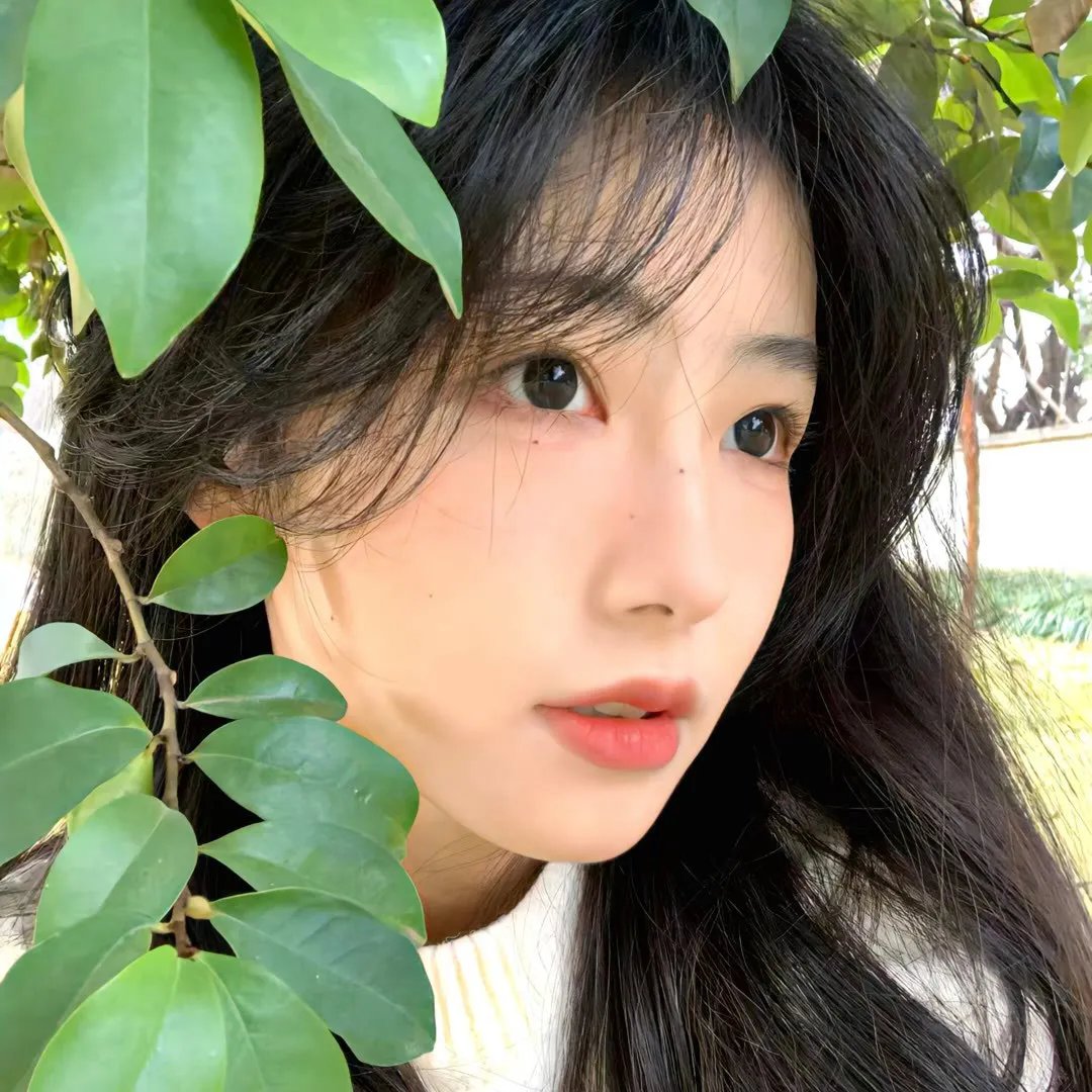 万物有灵2023